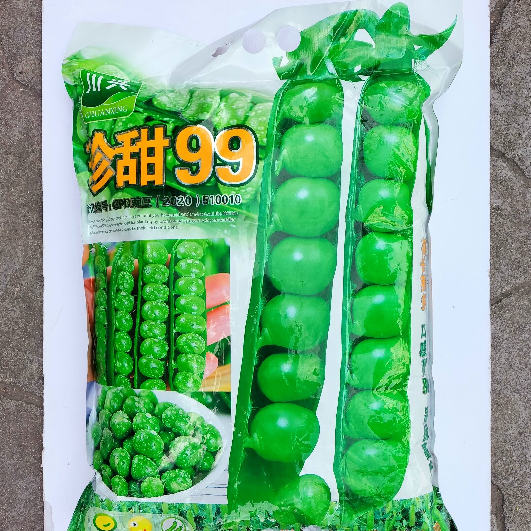 珍甜99甜脆青豌豆种子高产中早熟青豆种籽大田基地秋季播蔬菜种孑
