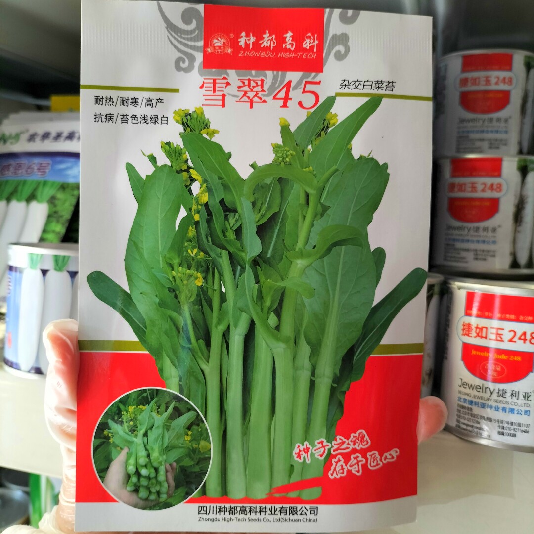 种都高科雪翠45白菜苔种子高产耐热耐寒早熟菜苔种籽农家秋季播种