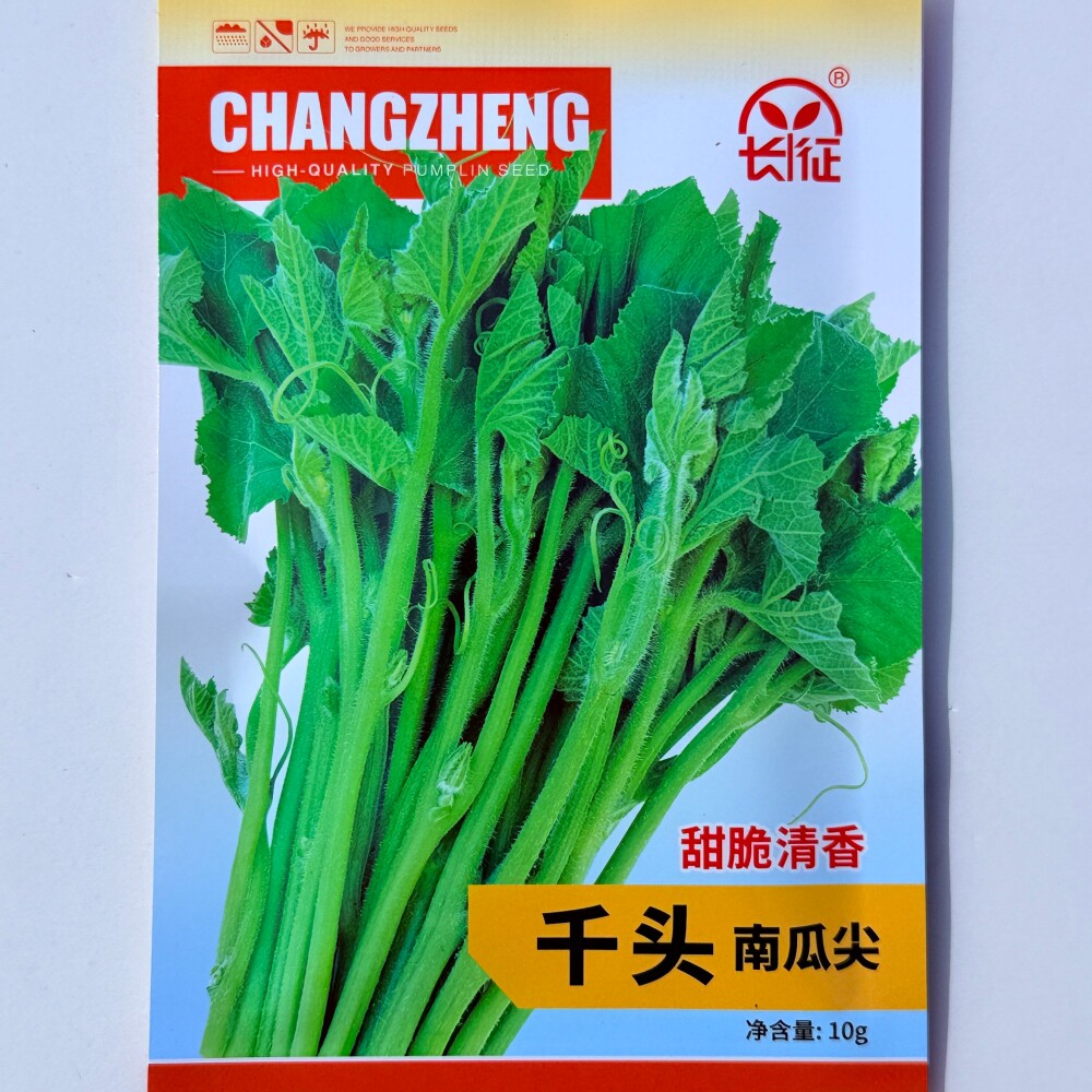 长征千头南瓜尖种子 抗病耐高温耐雨水南瓜苗种籽 农家春季播种孑