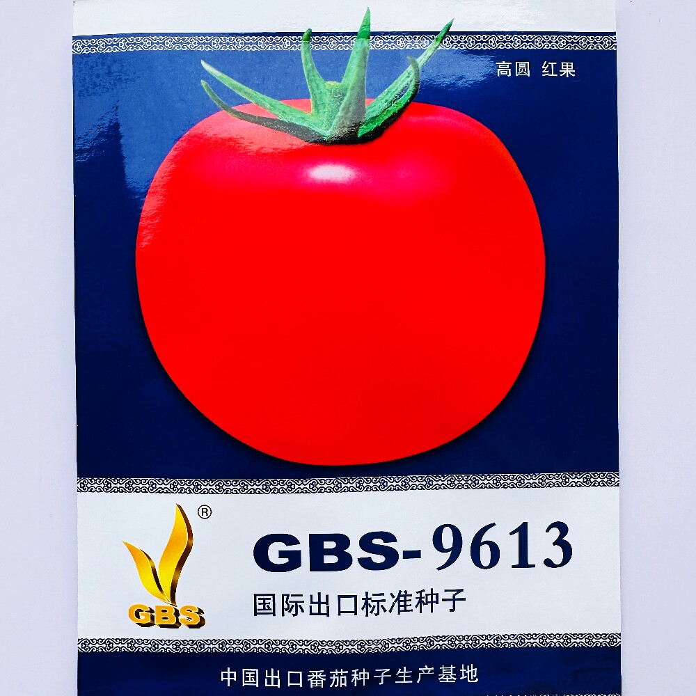 GBS-9613大红番茄种子大连天地种业抗病早熟高圆大果西红柿种籽孑