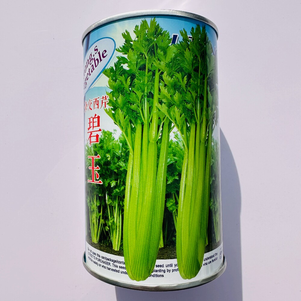璐通碧玉西芹种子杂交新一代芹菜种籽农家春秋季育苗播种蔬菜种孑