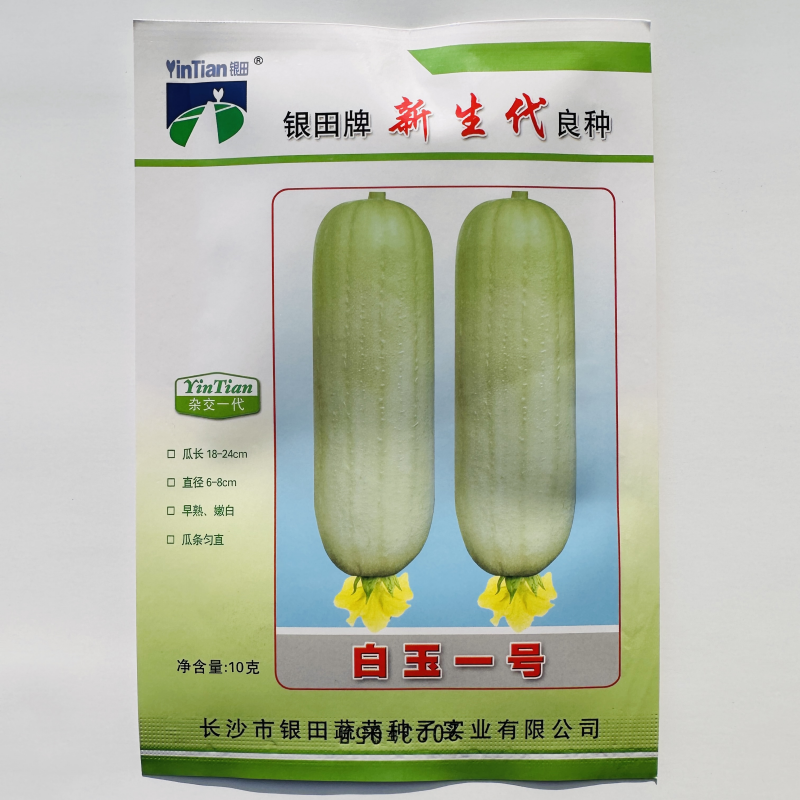银田白玉一号丝瓜种子早熟嫩白短棒型肉香丝瓜种籽春秋季播种高产