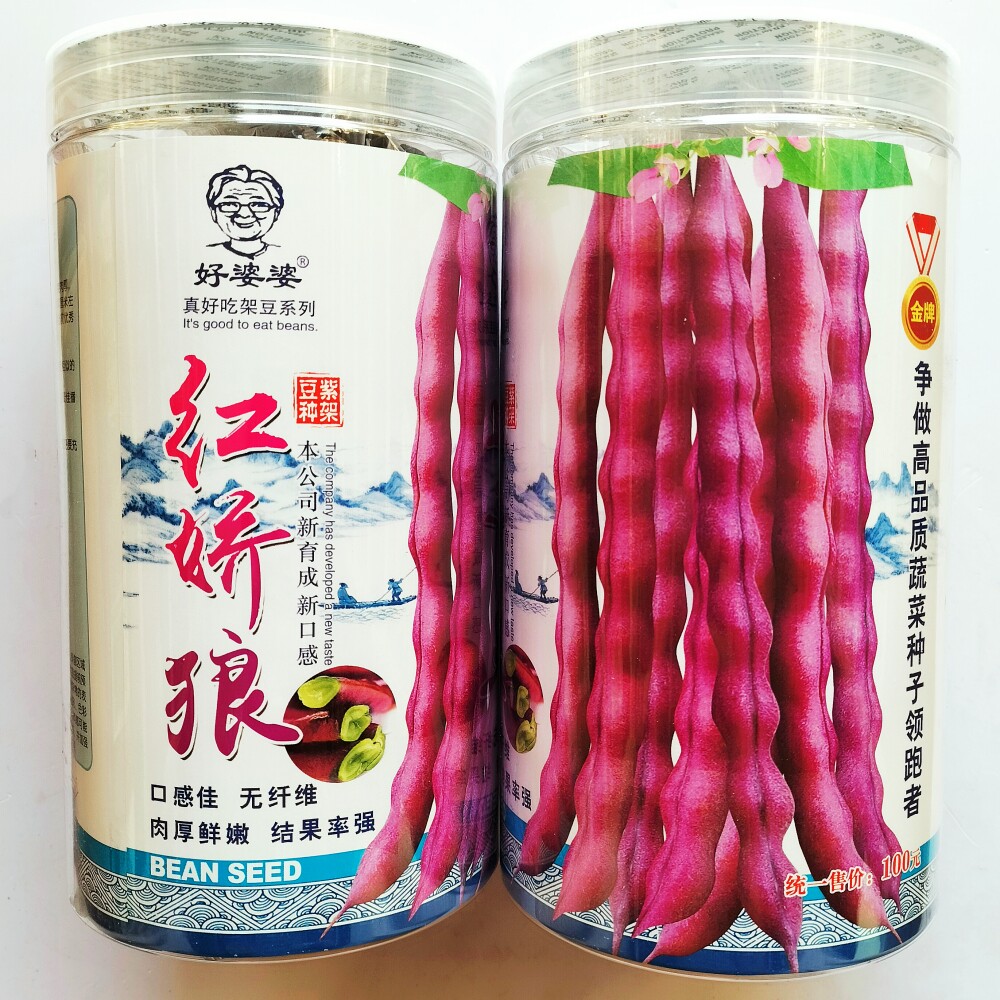 红娇狼紫架豆种子肉厚鲜嫩高产紫色四季豆种籽农家芸豆角春秋季播