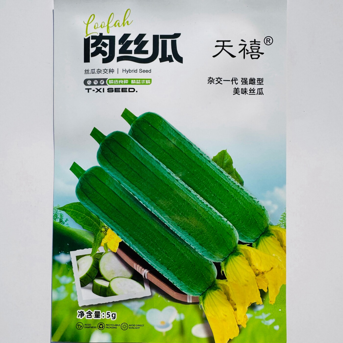 天禧肉丝瓜种子杂交一代强雌型美味丝瓜种籽农家春夏秋季播蔬菜种