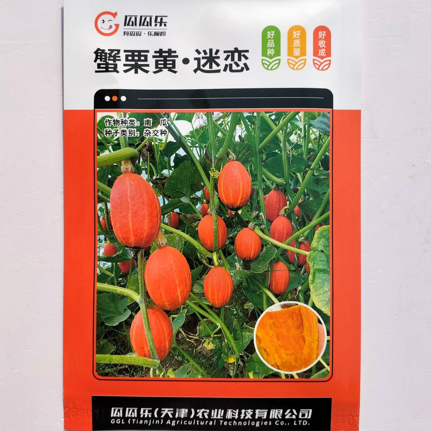瓜瓜乐蟹栗黄南瓜种子细糯香甜粉质好红皮贵族南瓜种籽农家春秋播