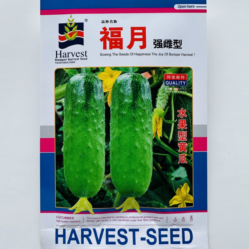 翠绿油亮水果黄瓜种子蓟农福月强雌性黄瓜种子早熟高产甜脆黄瓜籽