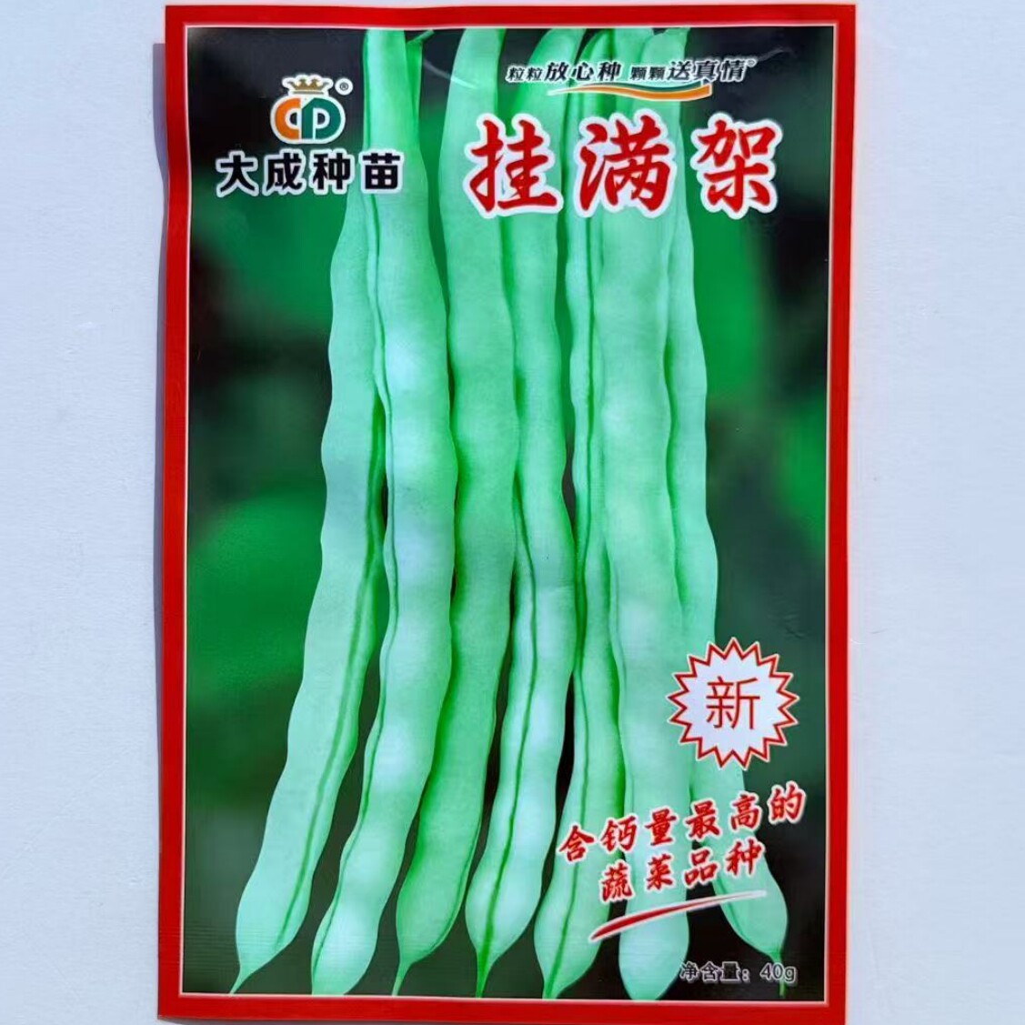 挂满架四季豆种子高产抗病耐热芸豆架豆种籽大田基地春夏秋季播种