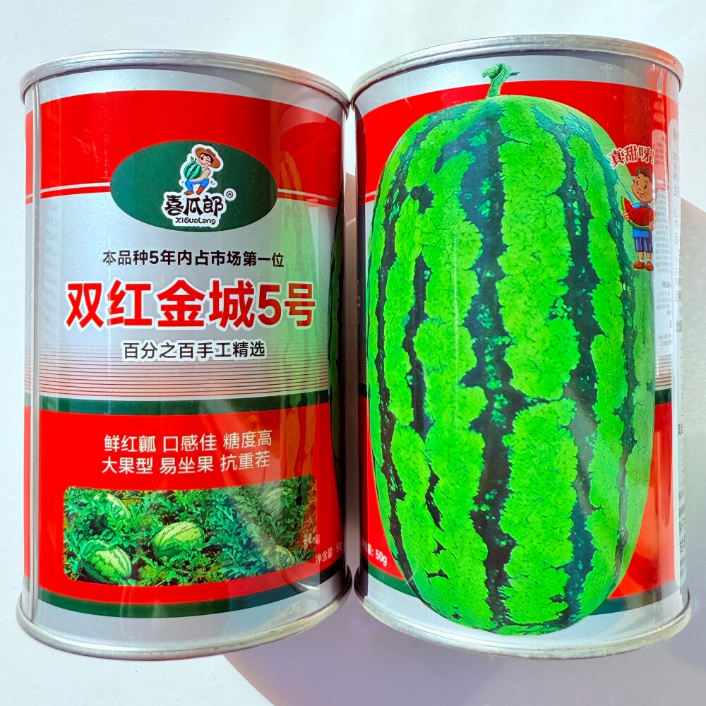 喜瓜郎双红金城5号西瓜种子高产中熟抗重茬糖度高薄皮大西瓜种籽