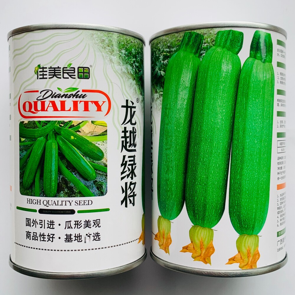龙越绿将西葫芦种子国外引进杂交早熟翠绿皮占瓜种籽农家春秋季播