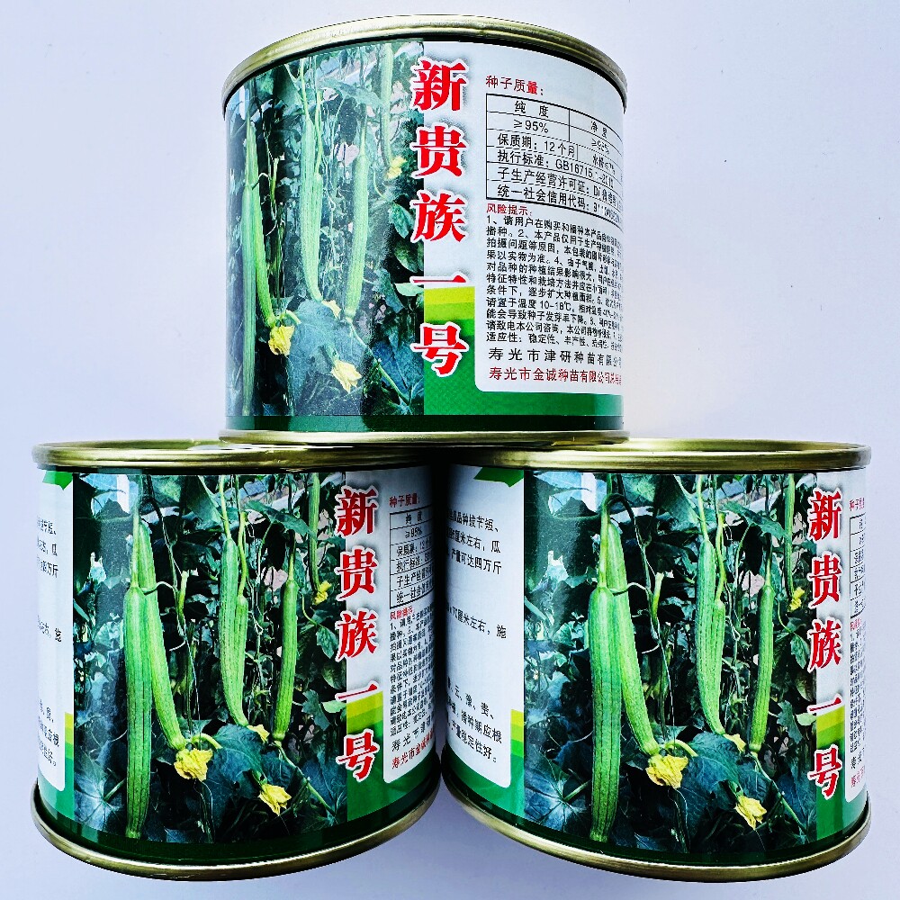新贵族一号越冬丝瓜种子抗病高产翠绿长丝瓜种籽大棚基地蔬菜种孑