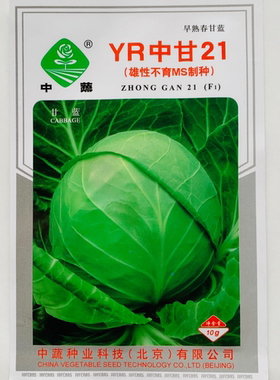 中蔬甘蓝种子YR中甘21早熟春甘蓝种子包菜圆球甘蓝种籽卷心菜种孑