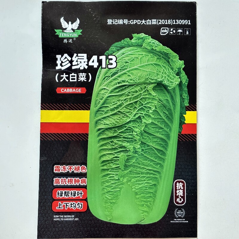 珍绿413 大白菜种子 口感好绿帮绿叶大棵高产外叶油绿 农家秋季播