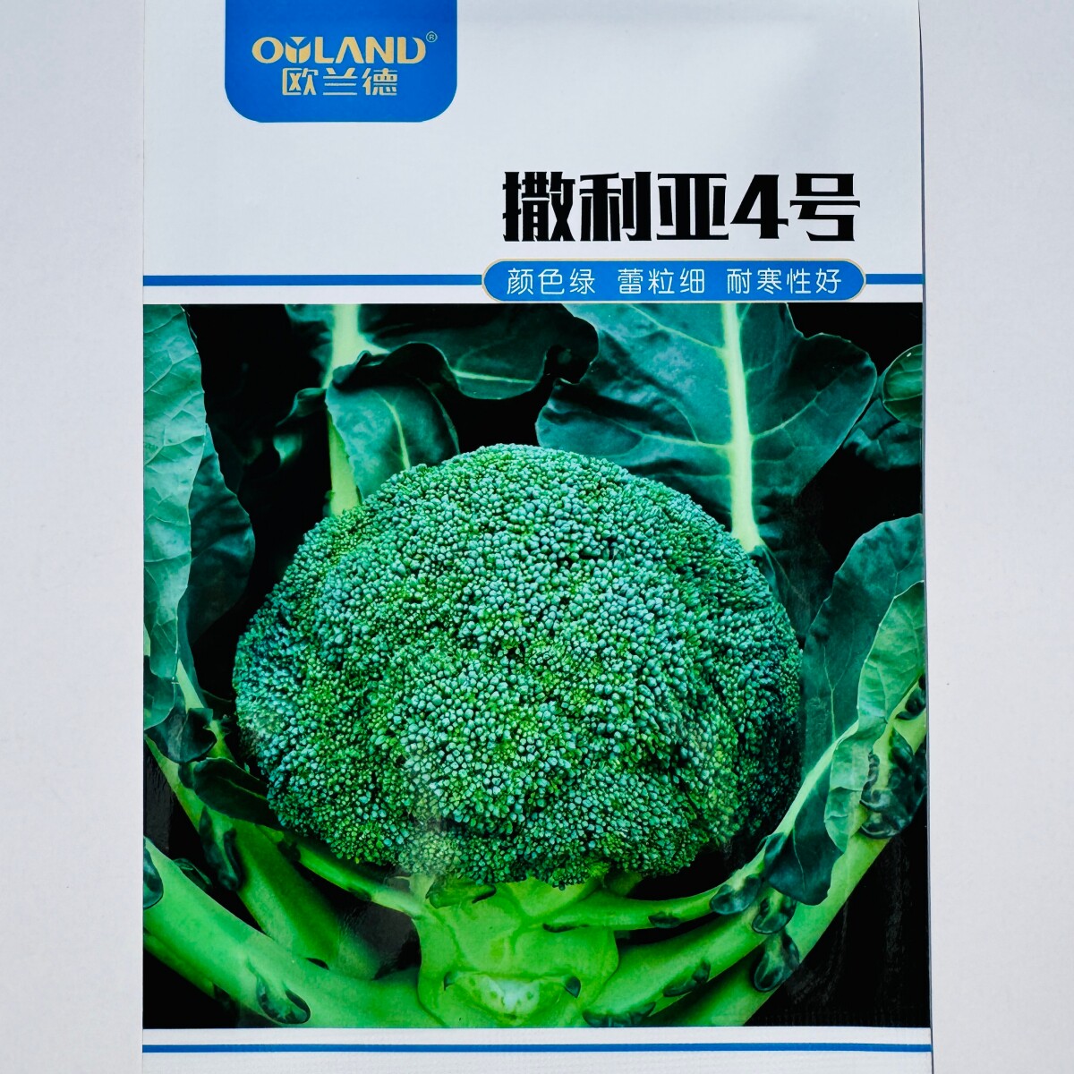 欧蓝德撒利亚4号西兰花种子耐寒小米粒绿花菜花秋播青花菜种子籽