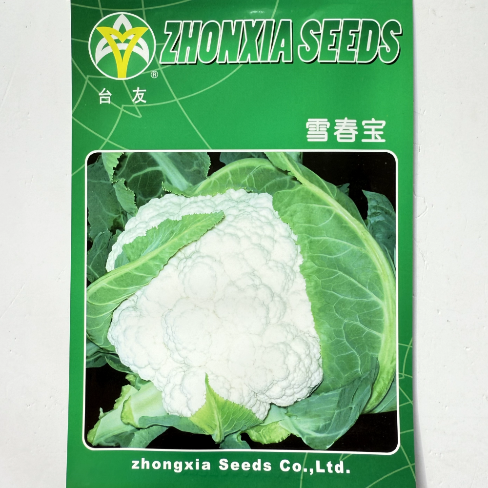 中厦雪春宝白花菜种子耐热耐寒青梗花椰菜种籽农家春秋季播种孑