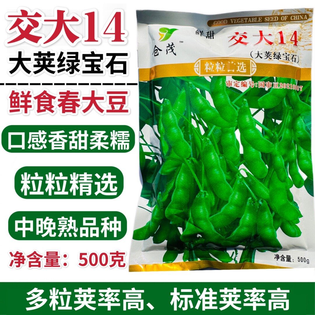 交大14大荚绿宝石青豆种子中晚熟口感香甜柔糯鲜食大粒毛豆种籽孑