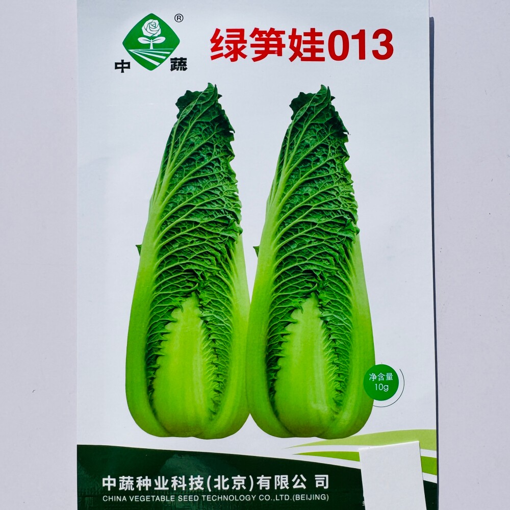 绿笋娃013龙牙白菜种子拧抱黄心绍菜水果白菜65天秋尖头白菜种子