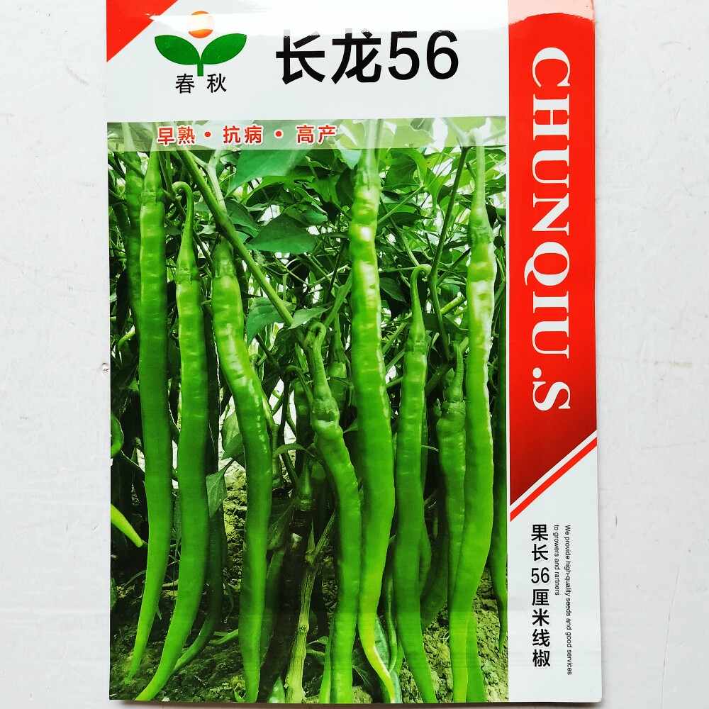 长龙56线椒辣椒种子高产超长早熟超辣特大辣椒种籽薄皮香辣口感好