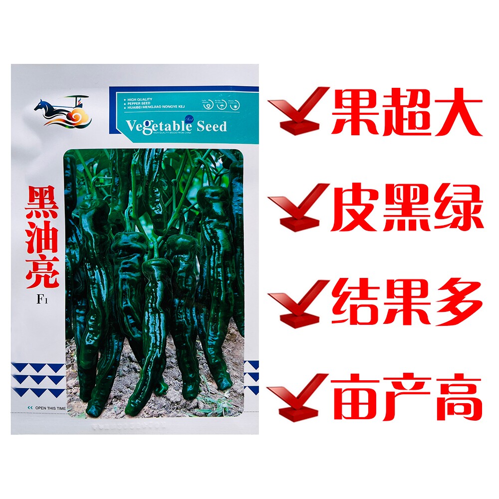 东蔬三星大黑皱皮辣椒种子黑绿皮香辣高产抗病杂交口感好辣椒种籽
