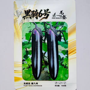 龙盛黑骑6号黑长茄种子肉质细嫩口感好黑皮浅绿肉茄子种籽春秋播