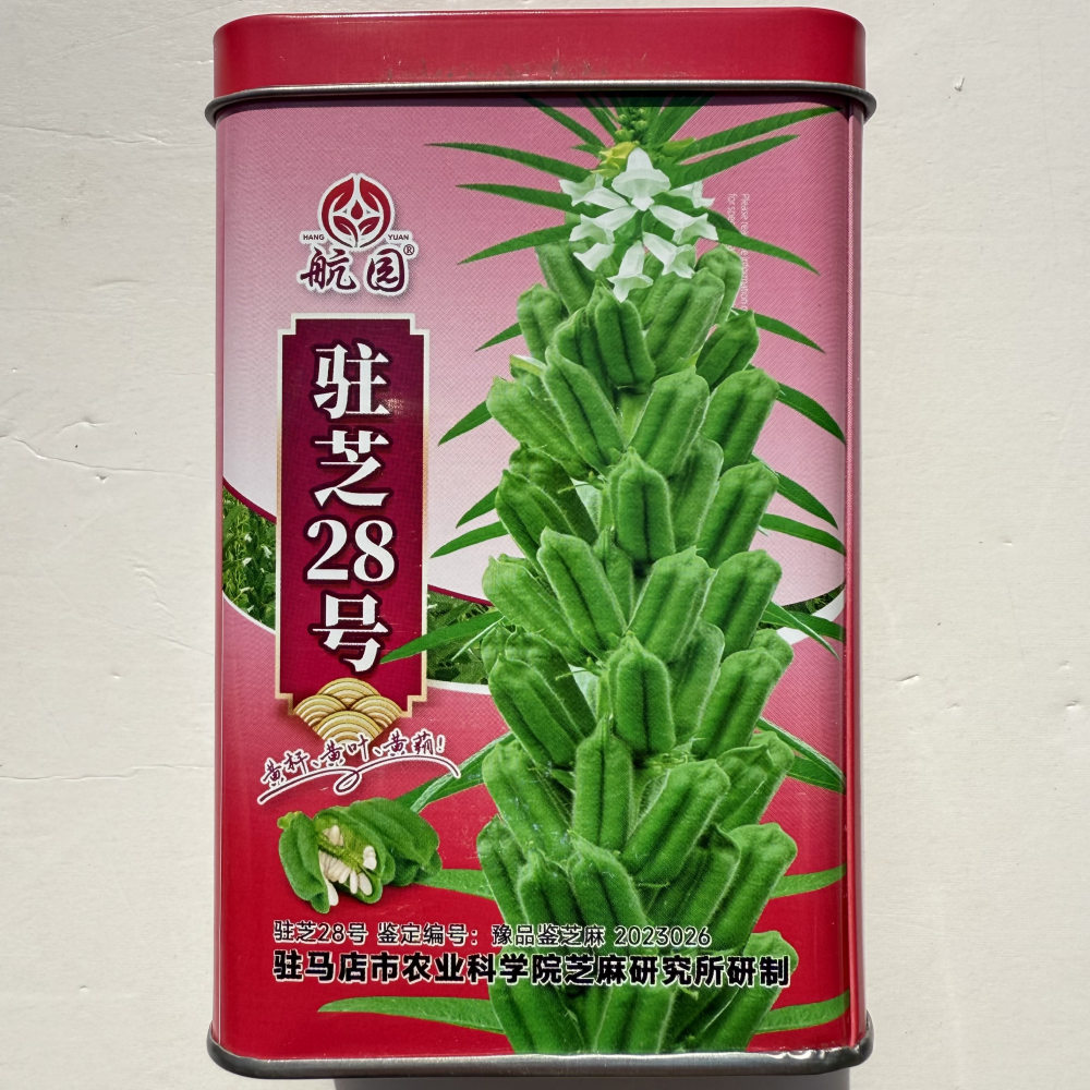 航园驻芝28号白芝麻种子单杆高油高产芝麻种籽大田基地春夏季播种