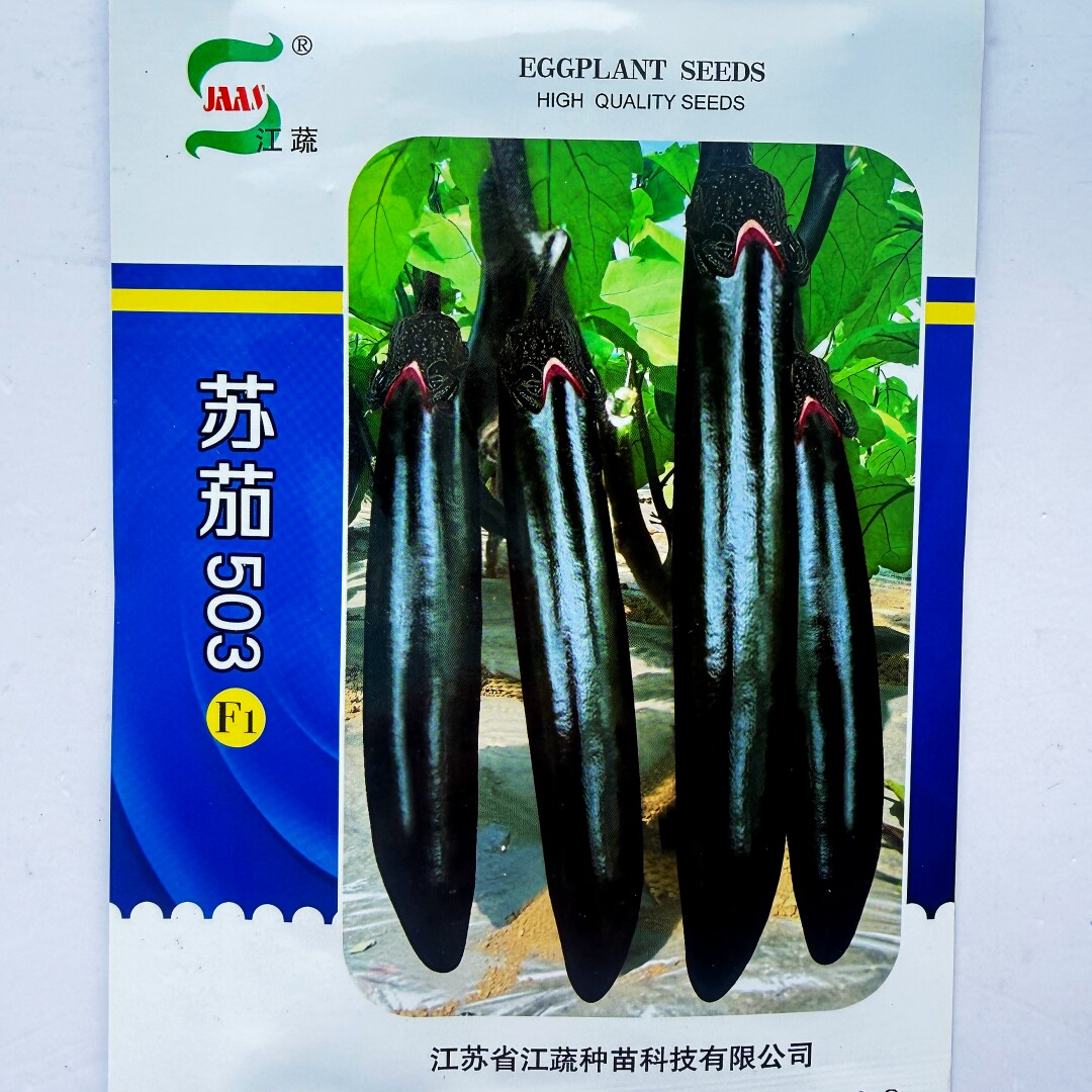 江蔬苏茄503茄子种子果实长棒形顺直肉软中熟杂交紫黑色长茄种籽