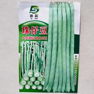 珠仔豆种子大肉甜豆角种籽猪仔豆角子种豇豆农家春夏秋播蔬菜种孑