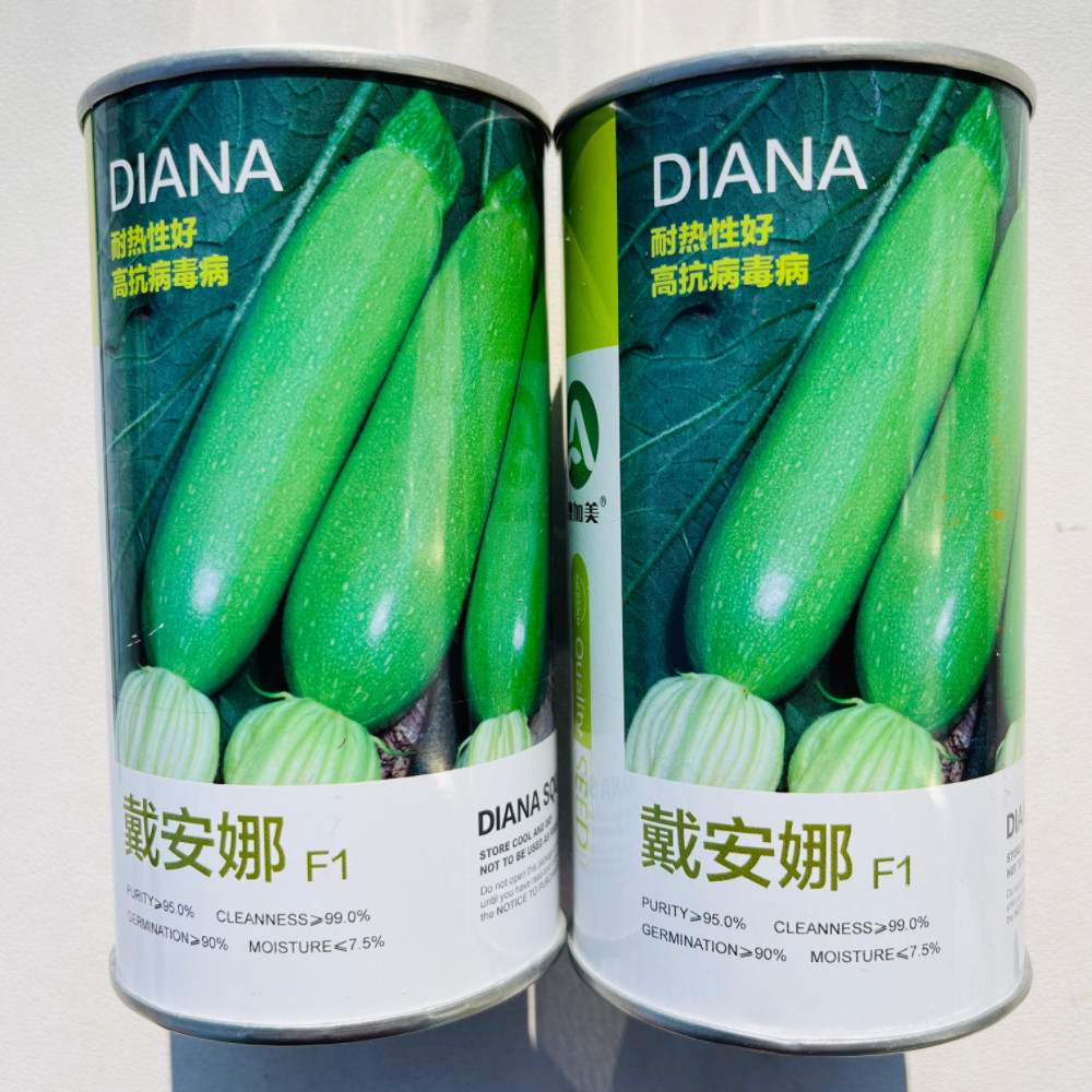 澳加美戴安娜西葫芦种子耐热高产条形顺直嫩绿占瓜种籽春夏秋季播