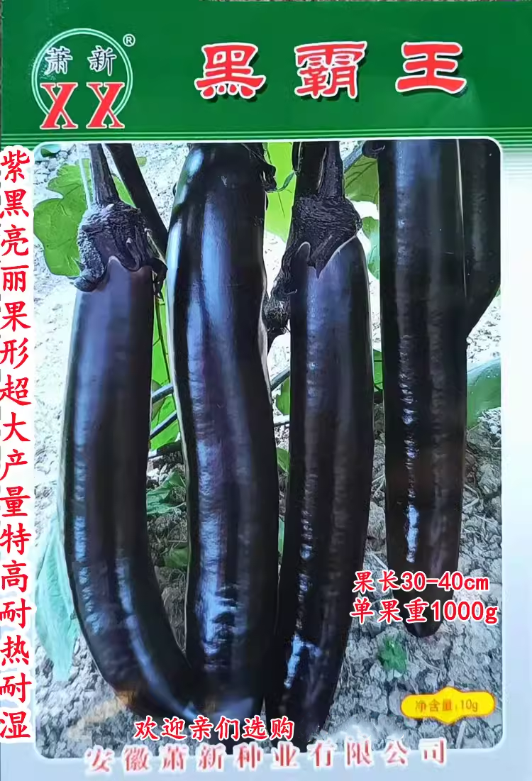 萧新黑霸王长黑紫茄子种子优质超大果高产耐热四季阳台南方春秋播