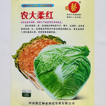 豫艺农大柔红大白菜种子橘红心白菜种籽口感好农家秋季播蔬菜种孑