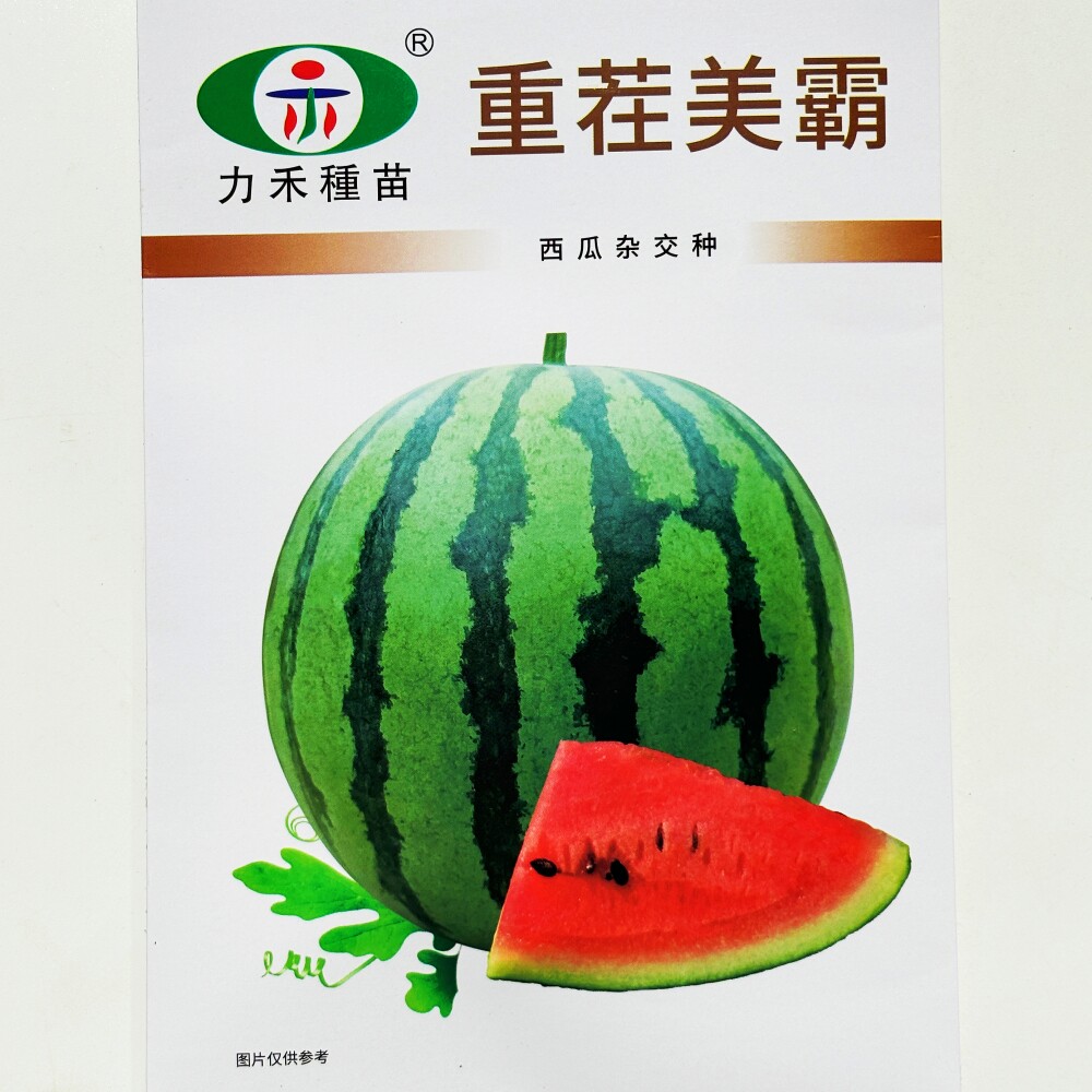力禾重茬美霸西瓜种子 杂交抗重茬脆甜多汁大西瓜种籽 春秋季播种