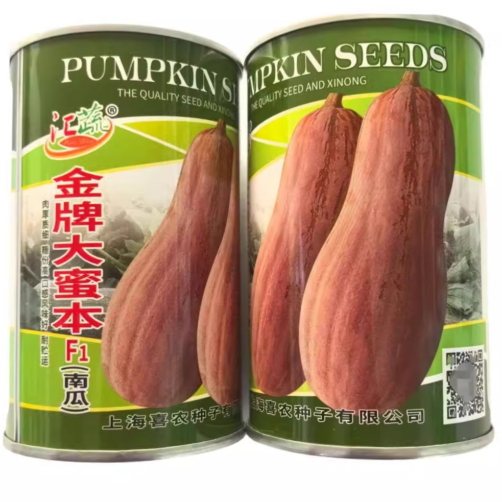汇蔬金牌大蜜本南瓜种子高产耐寒耐热粉糯香甜农家春秋播南瓜种籽