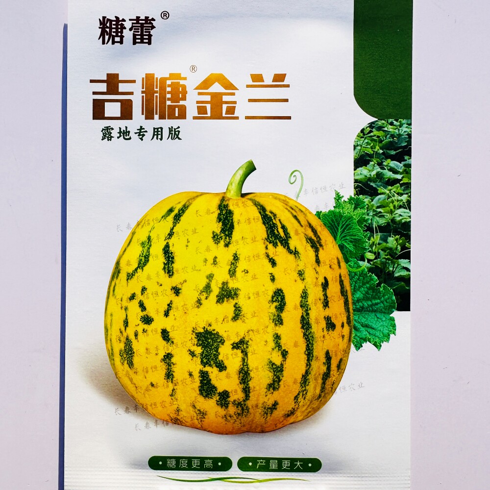 糖蕾吉糖金兰香瓜种子高糖特甜大果八里香甜瓜种籽孑花皮绿肉干瓤