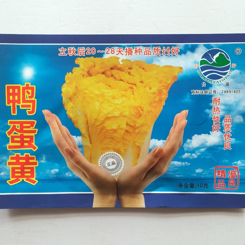 鸭蛋黄色大白菜种狮头种子籽黄心黄芯种子蔬菜青菜四季秋季孑大全