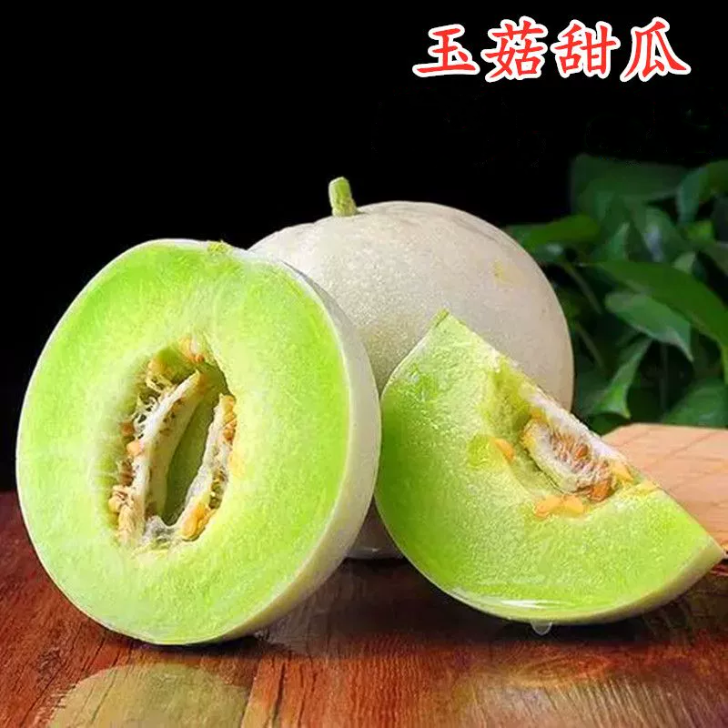 冰糖玉菇甜瓜种子春秋高圆型蜜姑超甜玉姑甜瓜种籽果肉淡绿色柔软