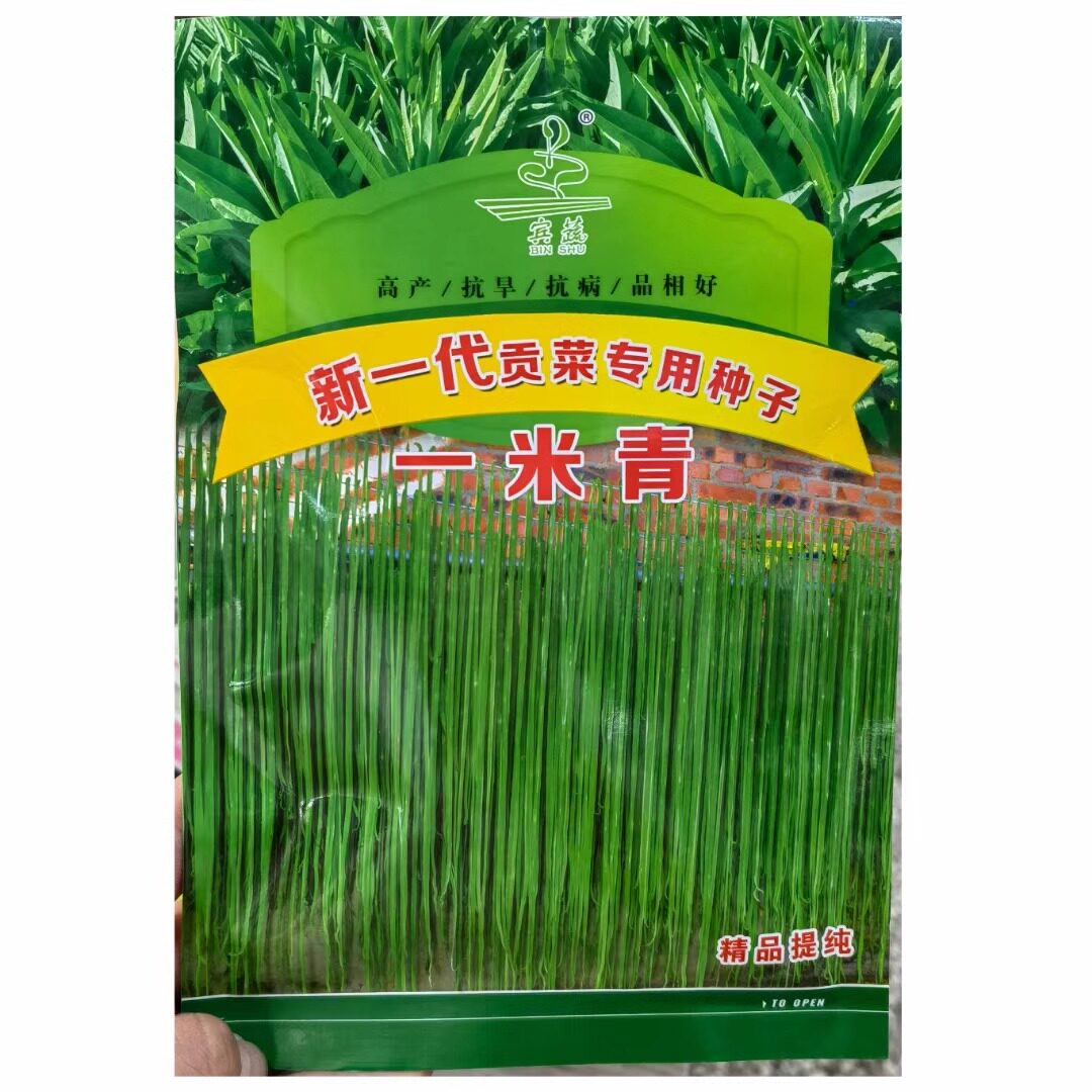 一米青贡菜种子宫廷山蛰菜种籽耐热抗寒苔干菜响菜莴笋莴苣蔬菜孑