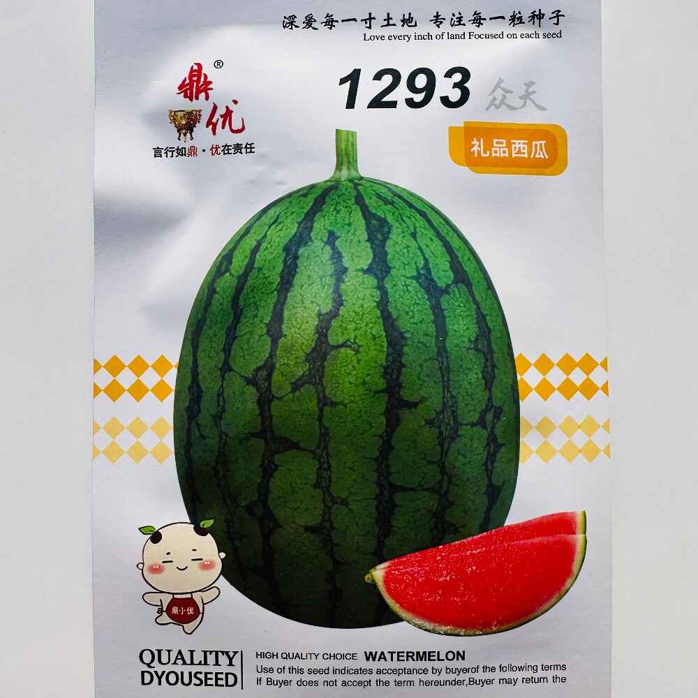 众天1293早熟西瓜种籽椭圆小果型礼品西瓜种子农家春季播水果种孑