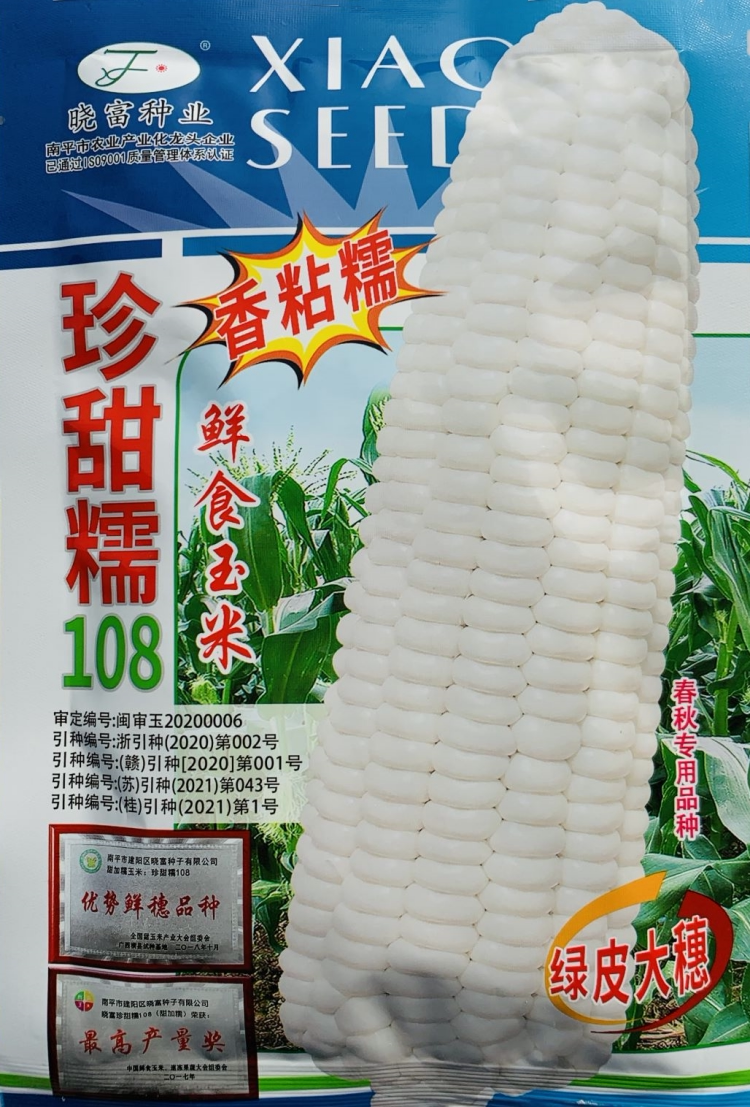 晓富珍甜糯108白糯玉米种籽子大田四季抗病高产大棒香粘甜糯玉米