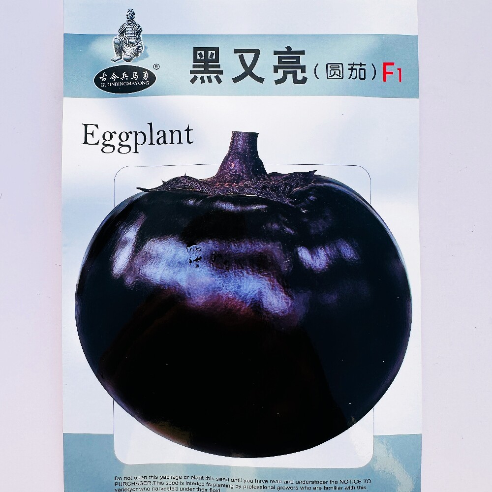 黑又亮圆茄种子抗病杂交中早熟耐热耐寒口感好茄子种籽大田基地播