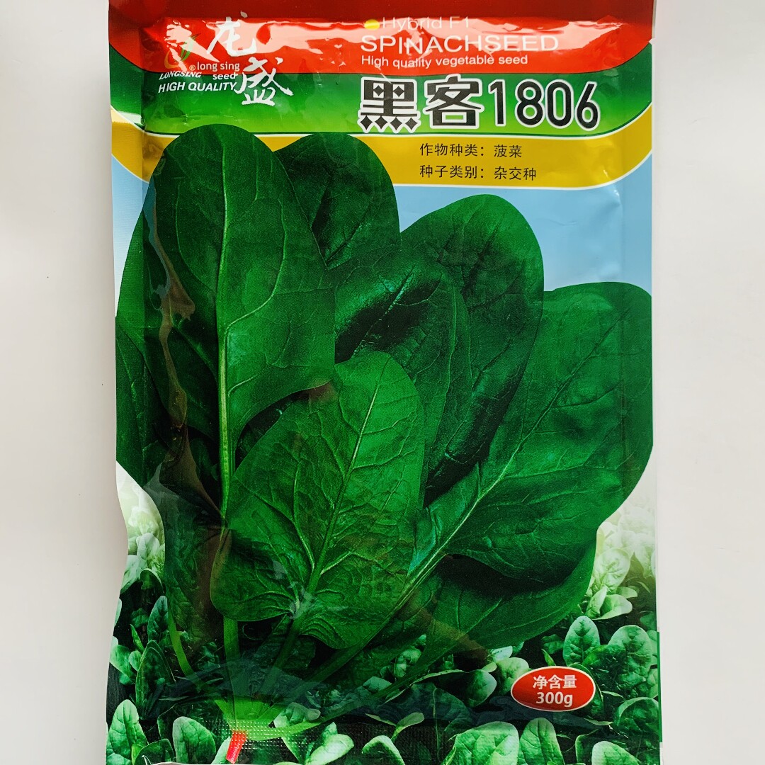 龙盛黑客1806菠菜种子抗病高产红根深绿叶菠菜种籽南北方春秋季播