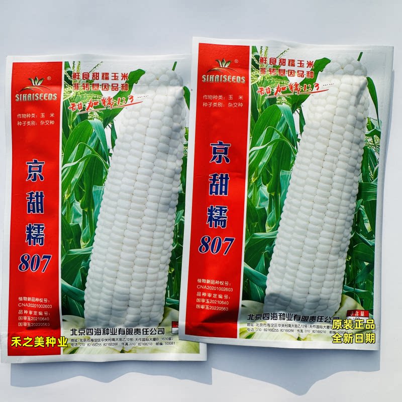 北京四海京甜糯807白甜糯玉米种子鲜食特大棒香糯甜粘早熟玉米籽