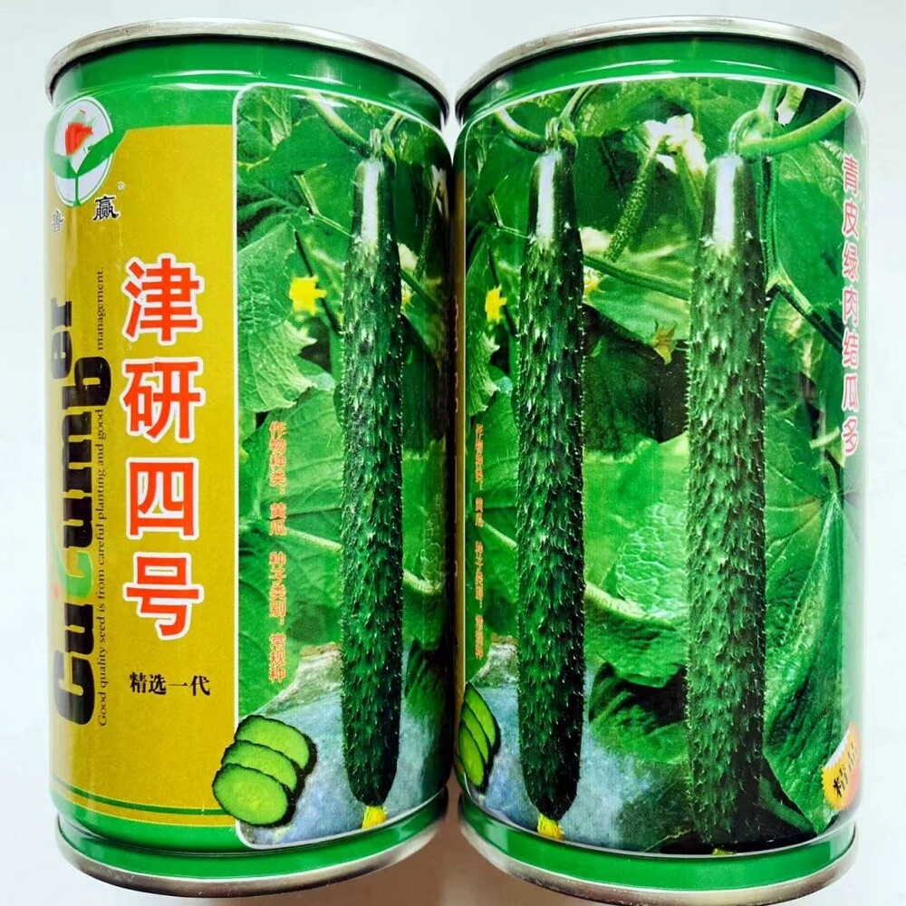 津研四号青皮绿肉黄瓜种子 清香密刺罐装青瓜种籽 农家春秋季播种