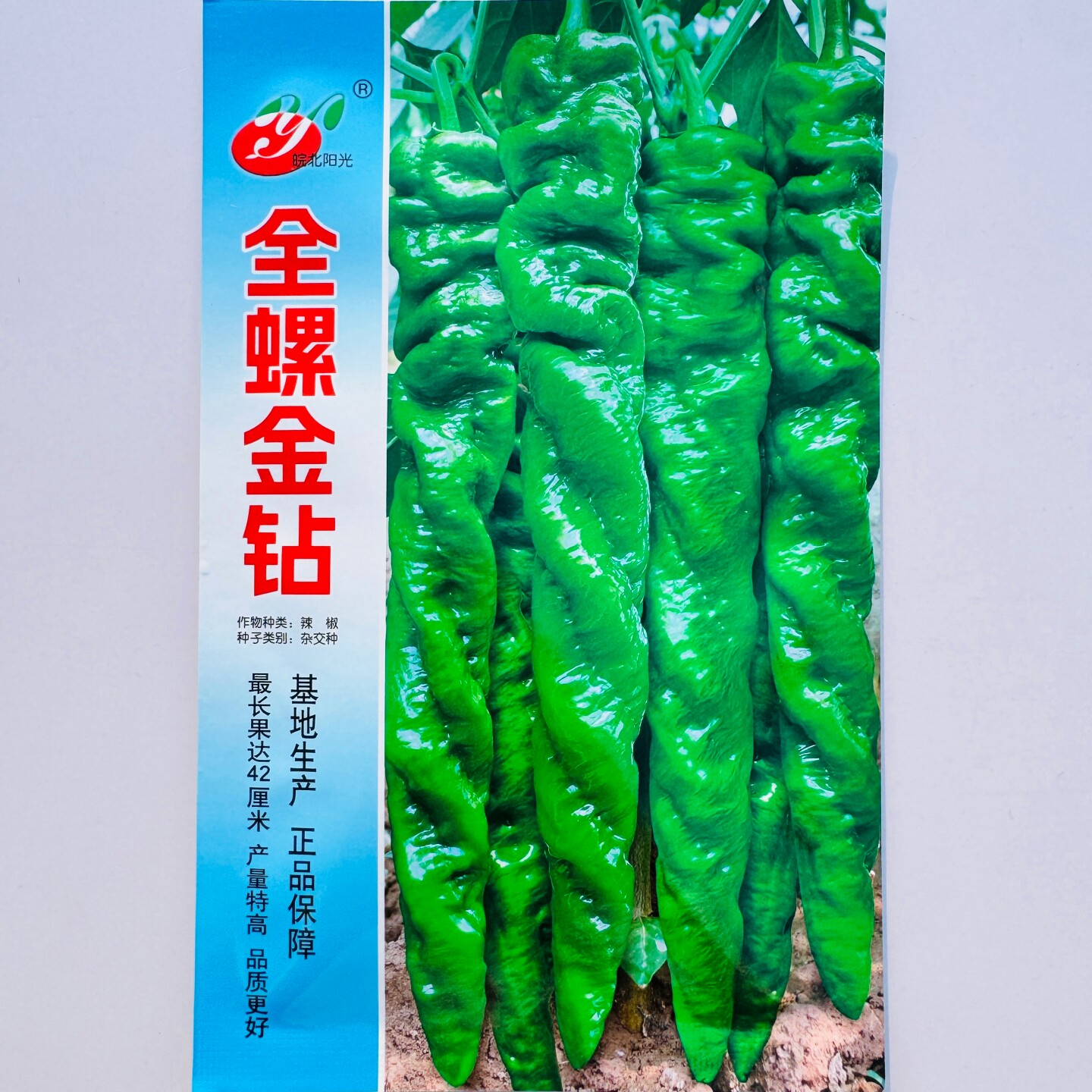 全螺金钻螺丝椒种子早熟全螺旋无限生长型高品质螺丝椒种籽超高产