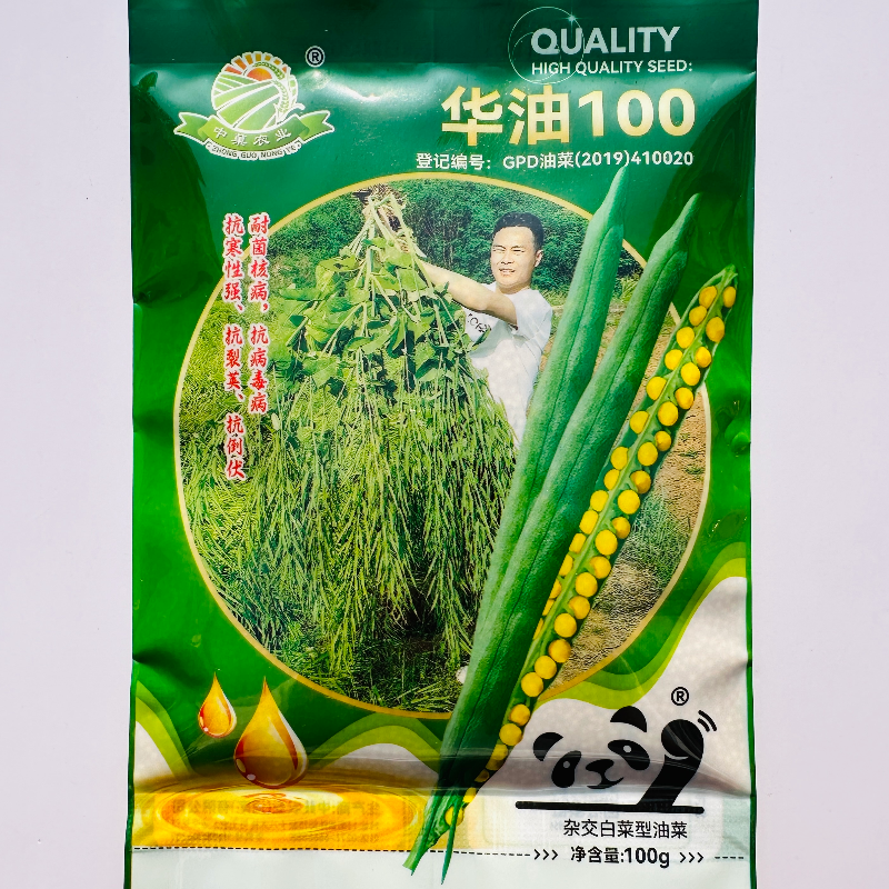 华油100油菜种子黄籽粒杂交白菜型油菜种籽高产中晚熟抗寒抗倒伏
