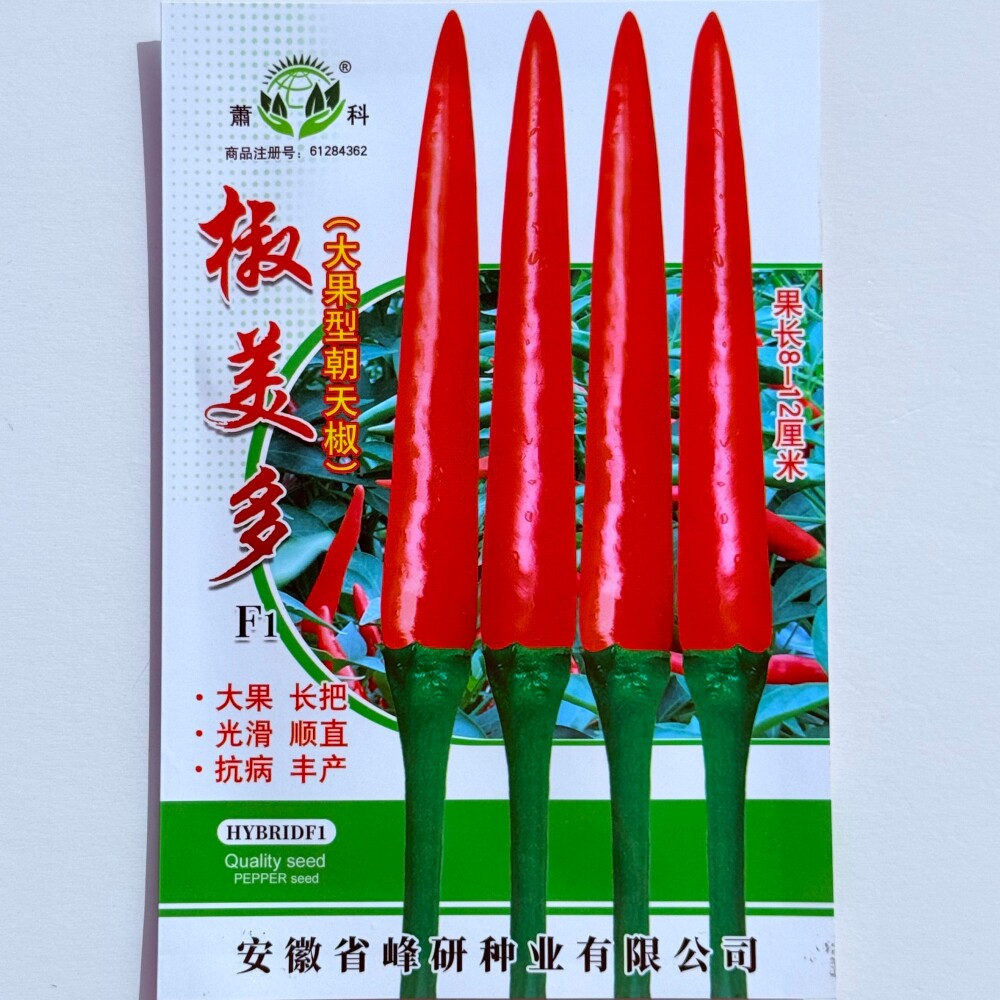 萧科椒美多朝天椒种子大果长把光滑顺直抗病高产辣椒种籽春秋季播