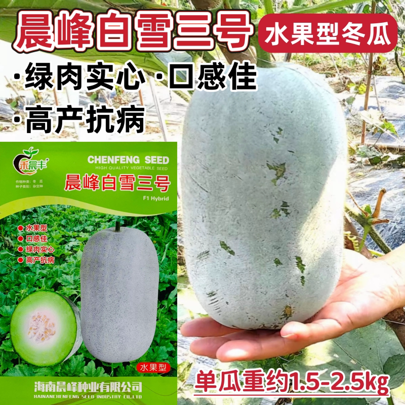 晨峰白雪三号水果型粉皮冬瓜种籽抗病高产早熟小冬瓜种子春秋季播