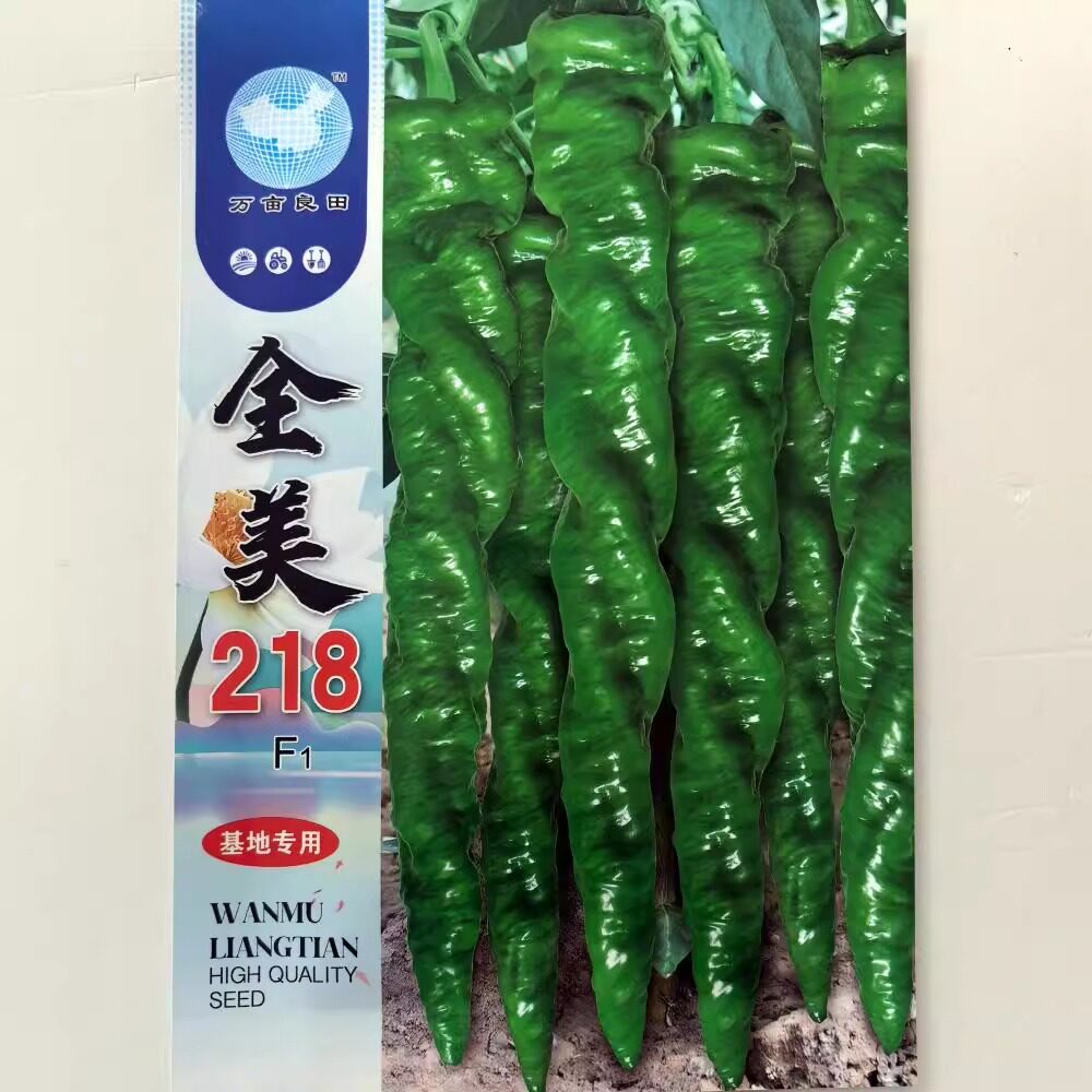 香辣螺丝椒种子陇椒种籽香辣早熟口感好辣椒种孑春秋季育苗播种子