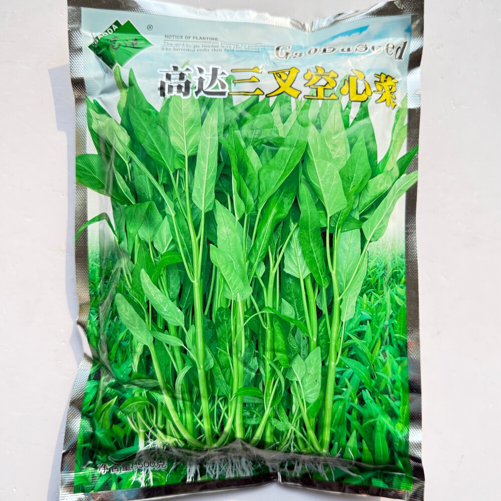 三叉空心菜种子青梗大叶脆嫩空心菜种籽农家春夏秋季高产蔬菜种孑