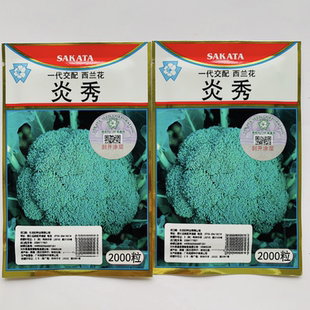 炎秀西兰花菜种子青梗花椰菜青花菜种籽农家大田基地春秋季播种孑