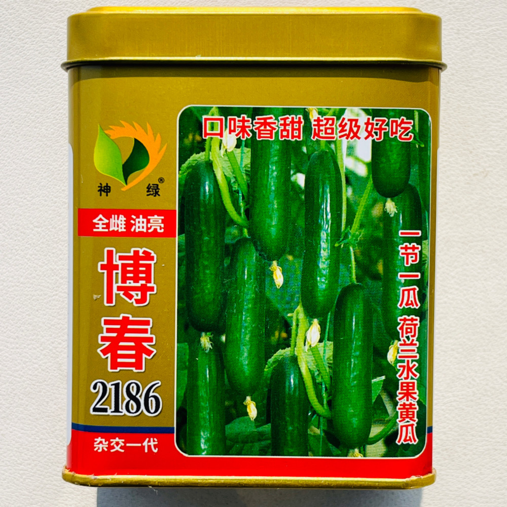 博春2186荷兰水果黄瓜种子全雌油亮杂交高产脆甜黄瓜种籽春秋季播