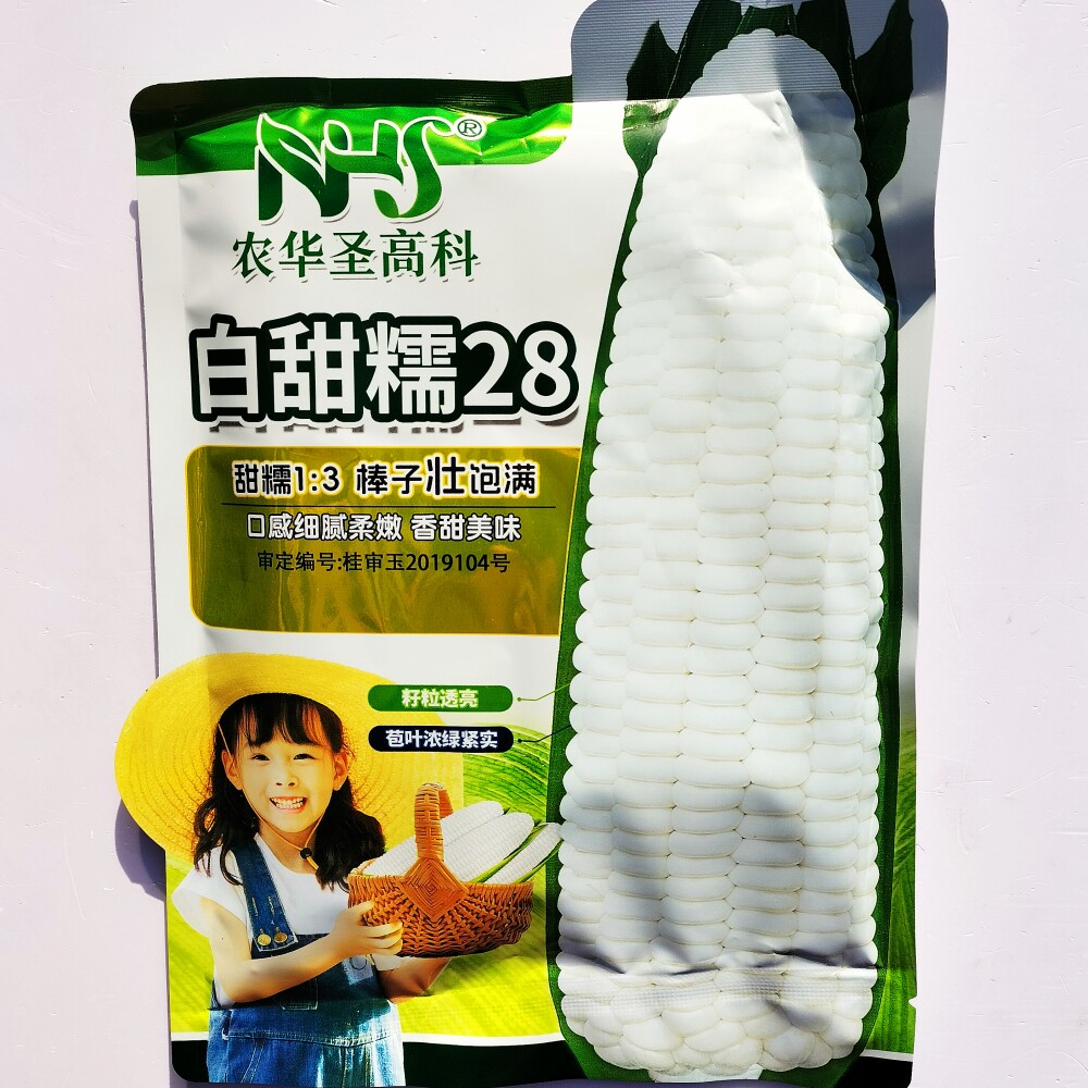 白甜糯28玉米种子早熟香甜好吃白甜糯黏玉米种籽大田基地春秋季播
